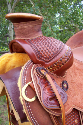 Buffalo Low Moose front of saddle